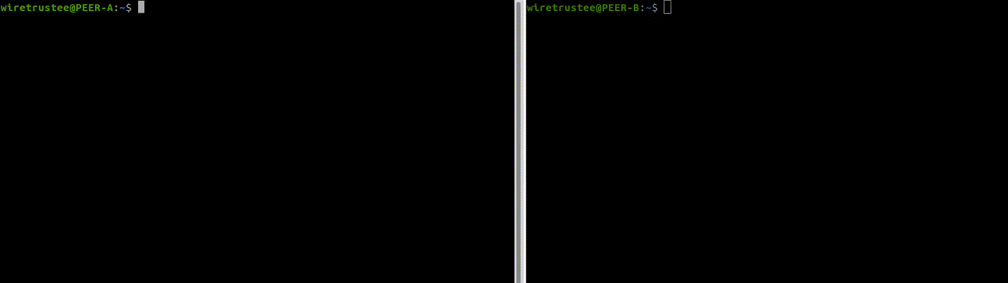 /extern/netbird/raw/branch/documentation_enhancement/docs/media/peers.gif