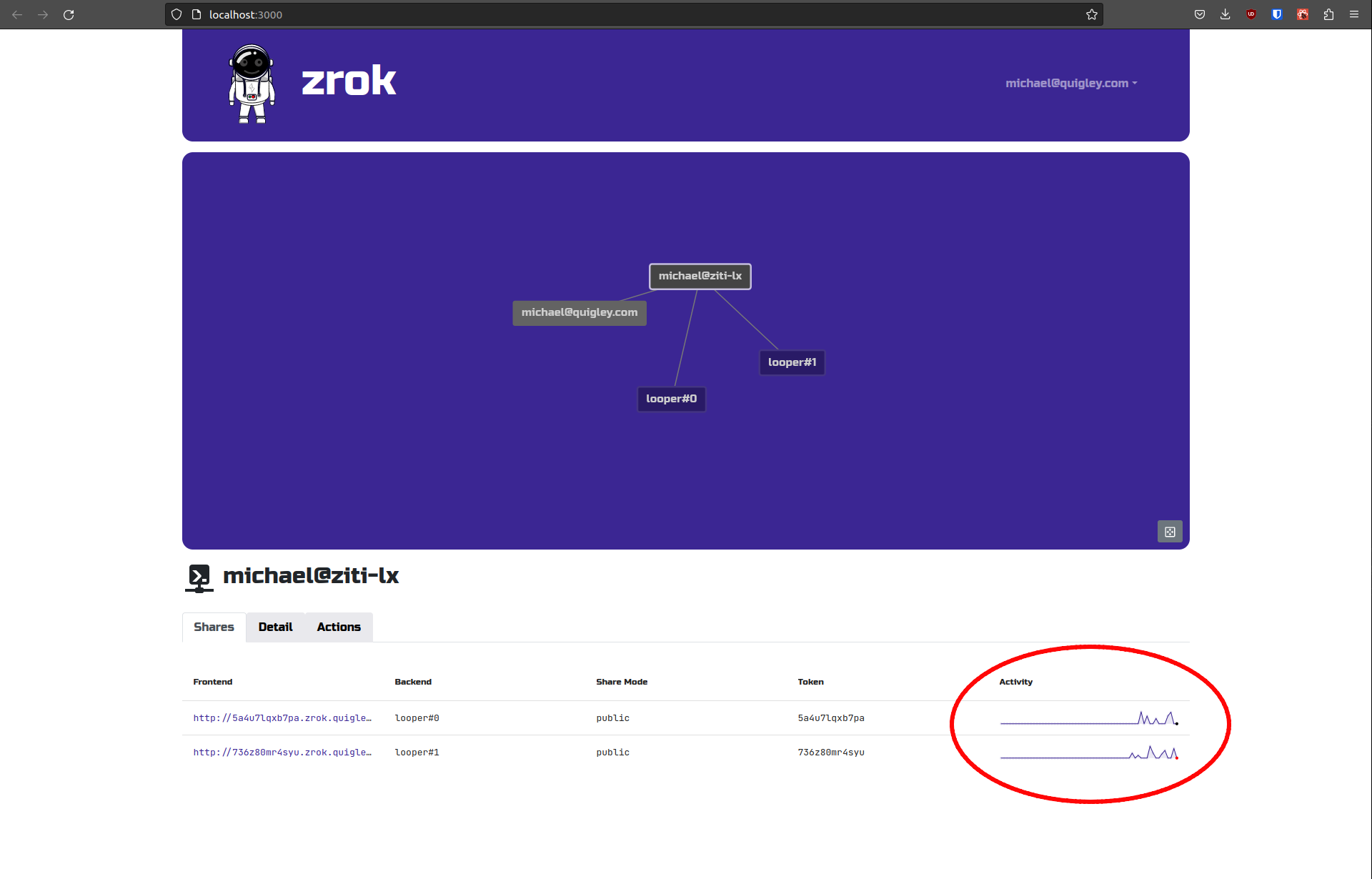 zrok web console activity